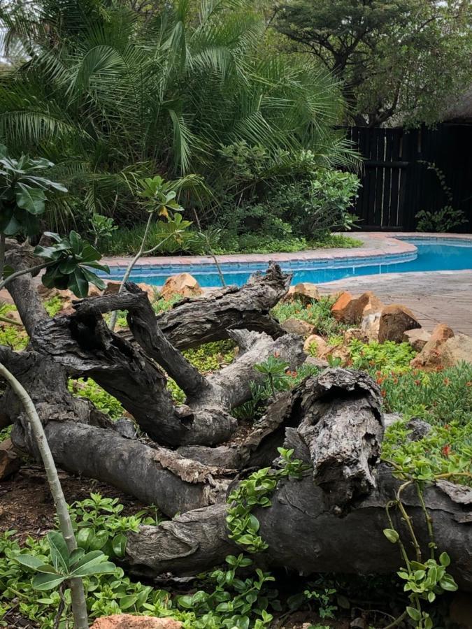 שמורת הציד טימבאבאטי Kambaku Safari Lodge מראה חיצוני תמונה
