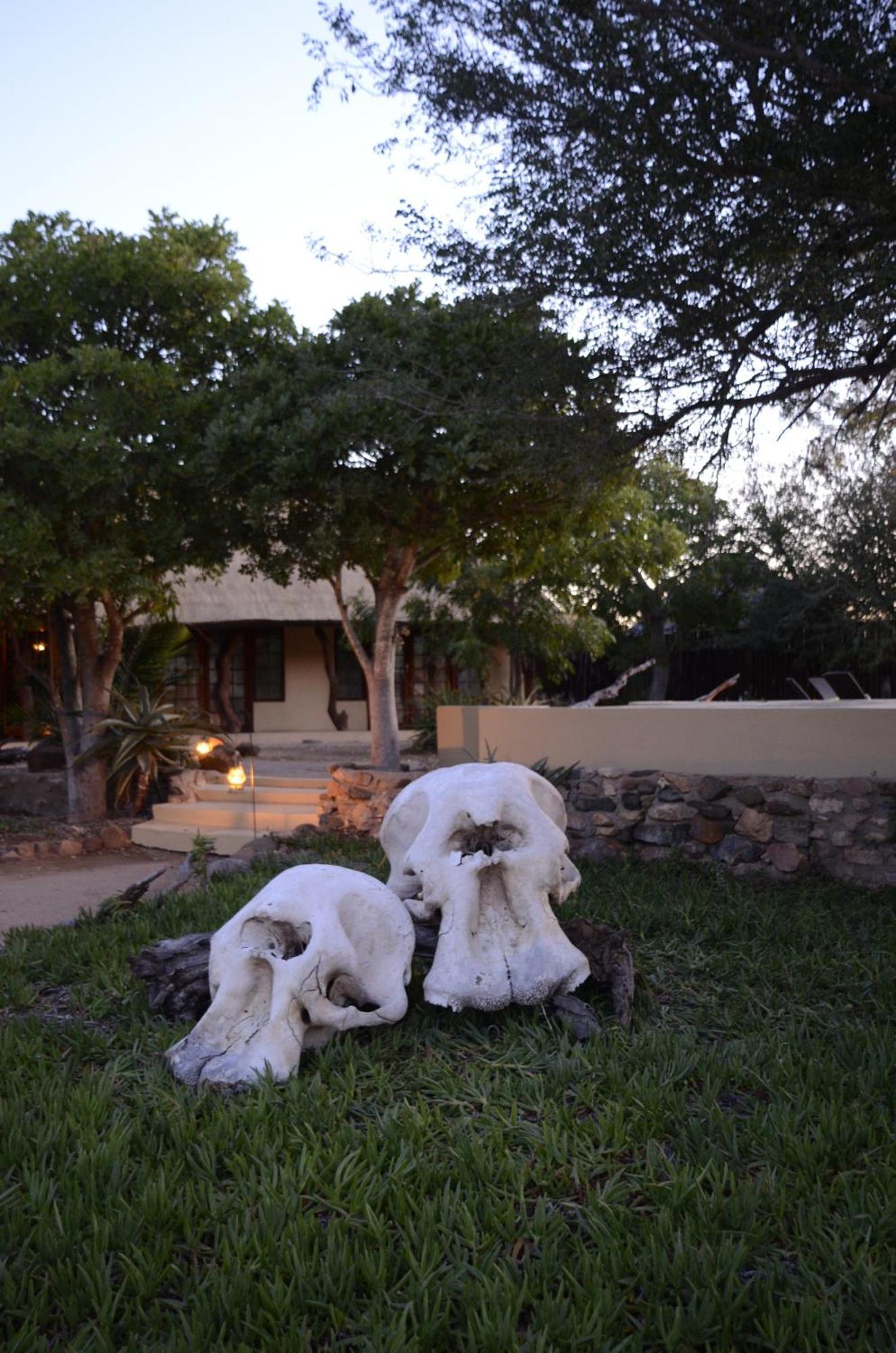 שמורת הציד טימבאבאטי Kambaku Safari Lodge מראה חיצוני תמונה
